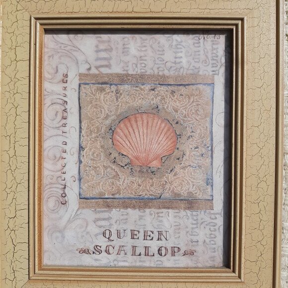 ð
ºPIER 1 Shelley Hely Framed Seashell Lithograph Print - Picture 1 of 7
